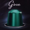 Giore